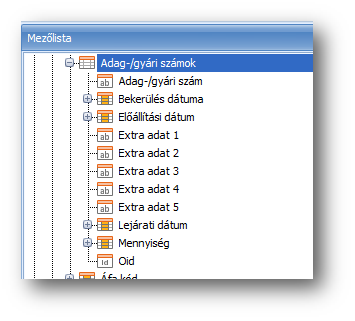 M_KR_Beallitasok_Par_MozgRendszerPar_KerBizSablon_RiportTervezo_Mezolista