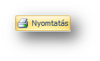 M_PR_Tranz_Projekt_Gantt_Nyomtatas