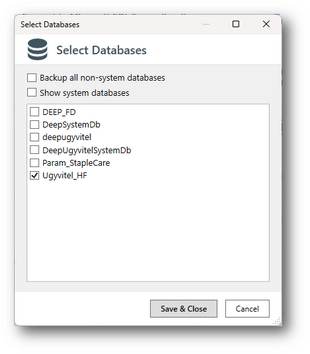 b_ituzemeltetes_automatikusmentes_adatbazismegadas2_zoom66