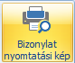 B_Programkezeles_Formalizmus_Menusor_BizNyomtatasiKep